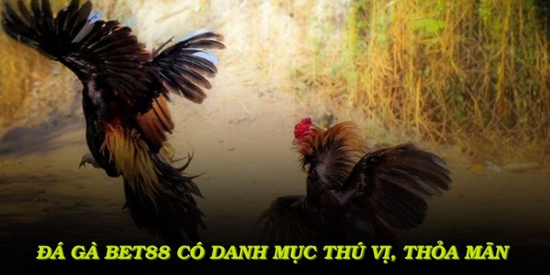 Đá gà Bet88 có danh mục thú vị, thỏa mãn mọi mong muốn về lối chơi