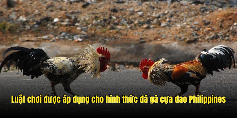 Luật chơi được áp dụng cho hình thức đá gà cựa dao Philippines
