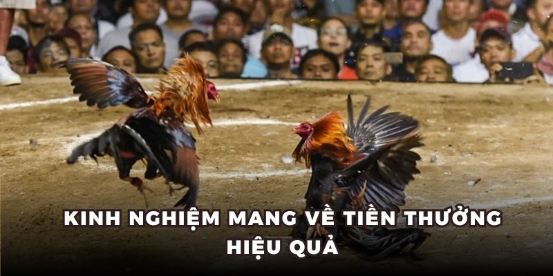 Kinh nghiệm mang về tiền thưởng hiệu quả