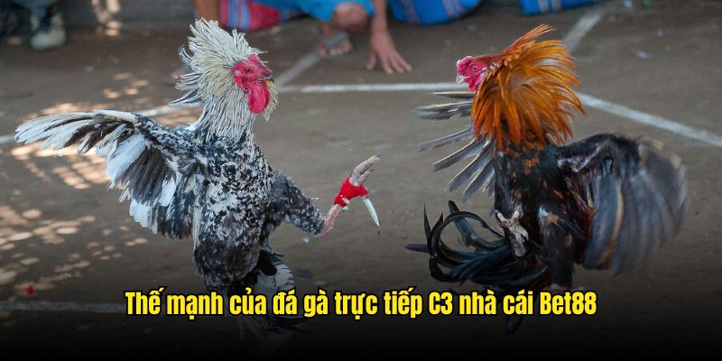 Những ưu điểm, thế mạnh tuyệt vời trong lĩnh vực đá gà tại Bet88