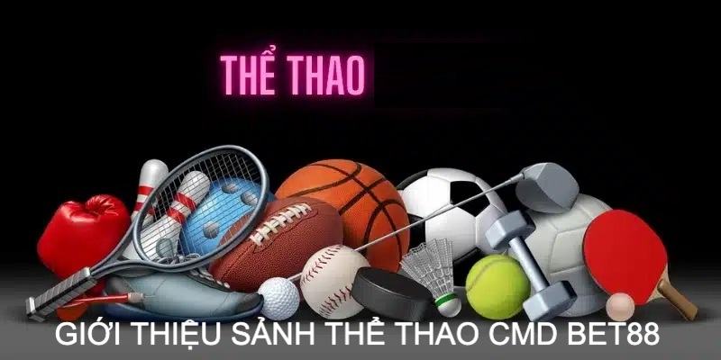 Khám phá các thông tin về sảnh CMD thể thao