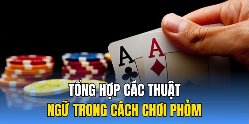 Tổng hợp các thuật ngữ trong cách chơi Phỏm