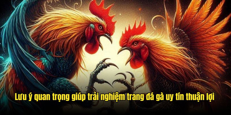Tham gia trang đá gà uy tín Bet88 cần lưu ý điều gì