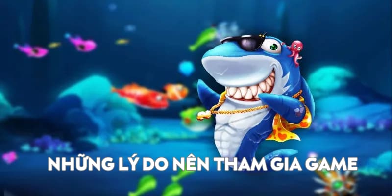 Các lý do nên tham dự